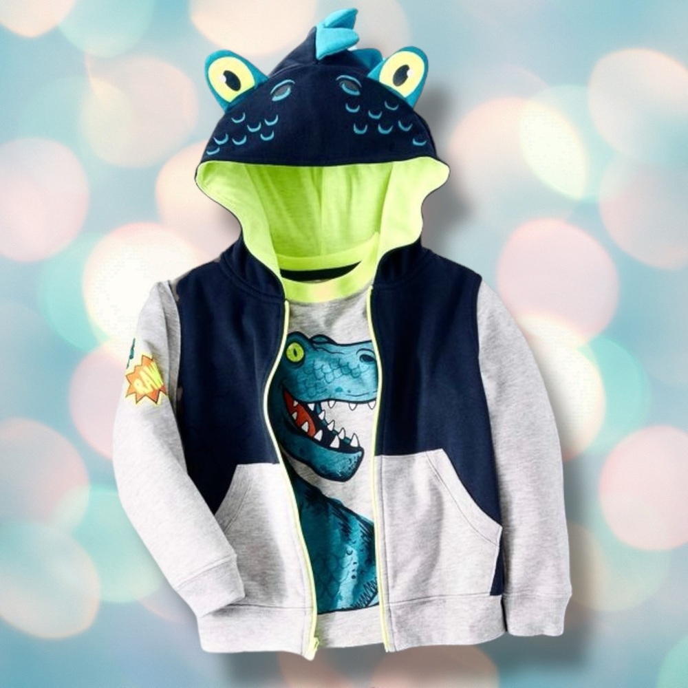 Toddler Boy’s Dinosaur Hoodie Sweatshirt Size 2T